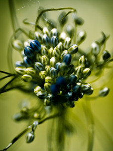 Untitled​​​​​​​​​​​​​​​​​​​​​​​​​​