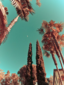 Hollywood and Vine