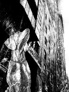 Dog's tale