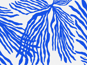 Electric Blue Coral