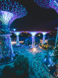 Singapore 15