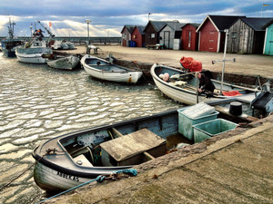 Winter harbor​