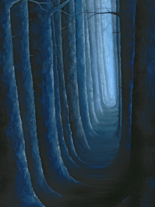 Dreamer's Journey