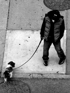 A Boy and His Dog