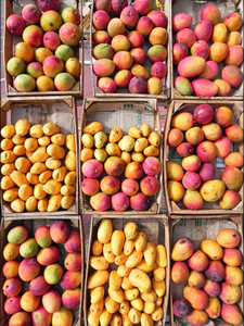 Farmers Market II