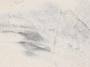 Sands of Oceanside #33