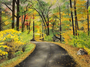 Lake Scranton Fall Walk