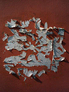 Shadows Past