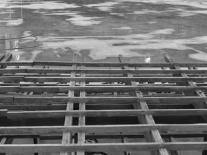 untitled (L1600310)