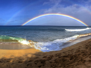 Maui Rainbow