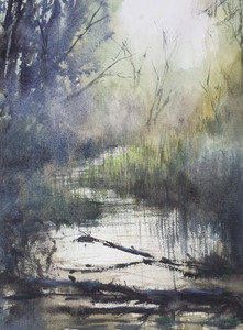 Swamp-1