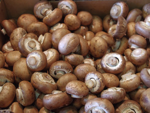 Button Mushrooms