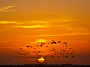 Key West Sunset