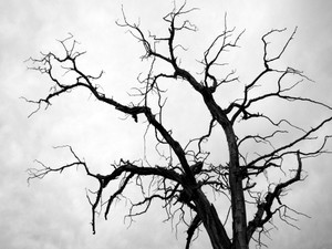 Frailty