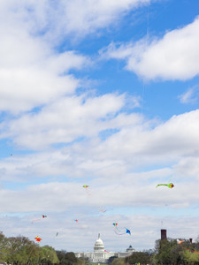 Go Fly A Kite​