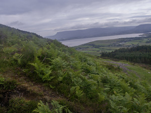 Ireland​​
