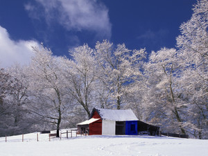 Winter Storm Barn 58W0737