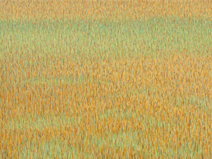 Grasslands #36.1