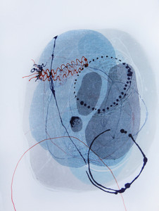 Plastiglomerate: Cytology 2