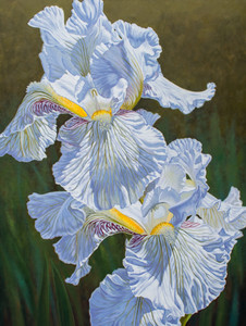 Floralscape, 3: White Irises