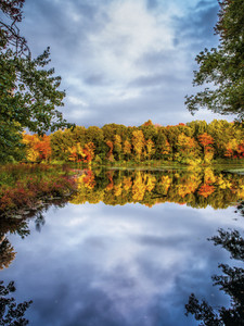 Pond View-Fall 1