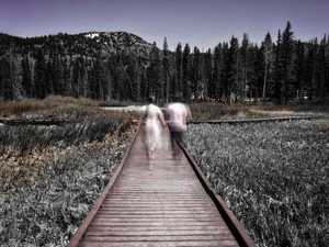 Boardwalk​​​​​