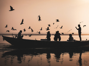 Boat and birds on river Ganga at sunset, Varanasi (India)
