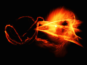 Fire Whip Paintings - 001