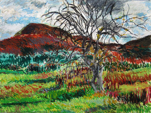 "Mt. Norwottuck and Apple Trees". Holyoke Mountain Range, autumn​​​​​​​​​