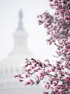 Spring, Meet Winter