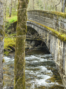 Bridge at Smokemont