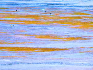 Antelope Island Abstract