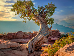 Deadhorse Point