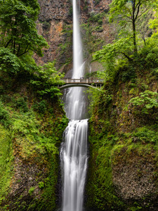 Multnomah Falls​​​​