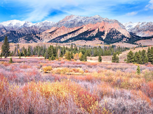 Autumn Wetland and Boulder Mt.