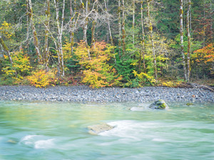 Autumn on The Stillaquamish  River