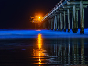 Bioluminescence at Scripps Pier, La Jolla