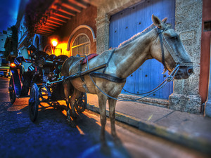 Horse & Carriage in Color