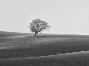 Ever Feel Alone