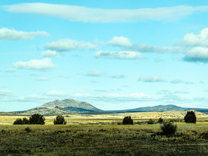Desert Landscape