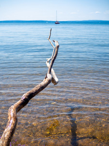Point to the Boat