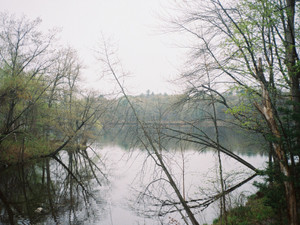 Maine Life