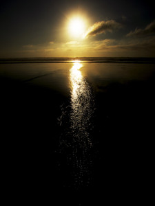 Sun Tail