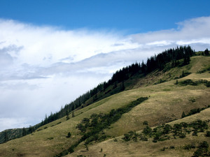 Rolling Hills​​