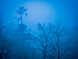 Himalaya Fog