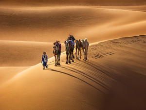 Berber