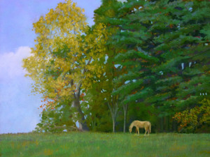 Blue Ridge Meadow