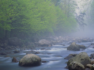 Greenbrier