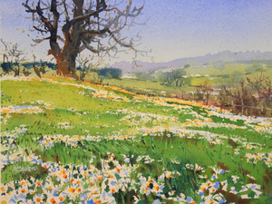Spring Has Arrived
