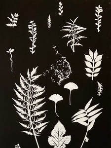 Botanical Collage
